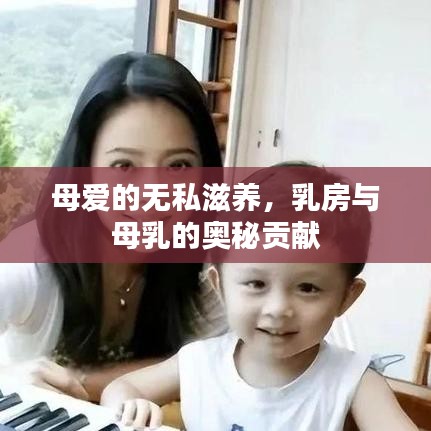 母爱的无私滋养,乳房与母乳的奥秘贡献