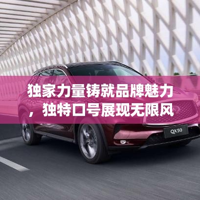 独家力量铸就品牌魅力，独特口号展现无限风采！