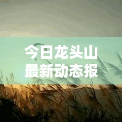 今日龙头山最新动态报道