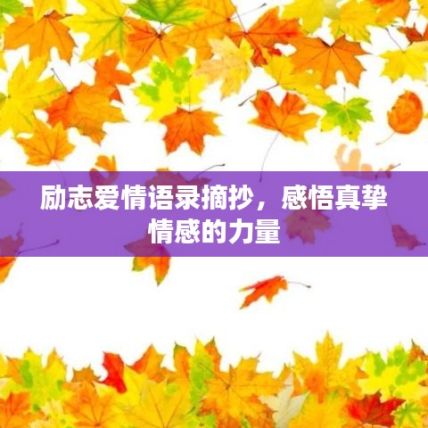 励志爱情语录摘抄,感悟真挚情感的力量