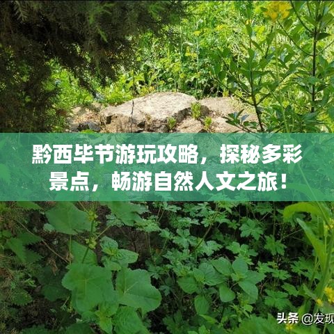 黔西毕节游玩攻略，探秘多彩景点，畅游自然人文之旅！
