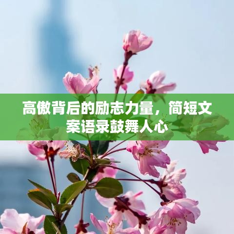 高傲背后的励志力量,简短文案语录鼓舞人心