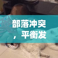 部落冲突，平衡发展，守护领地之道