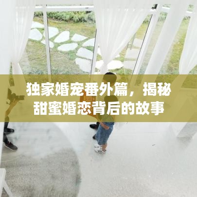 独家婚宠番外篇,揭秘甜蜜婚恋背后的故事