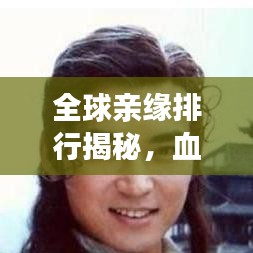 全球亲缘排行揭秘，血脉相连的情感羁绊与共鸣