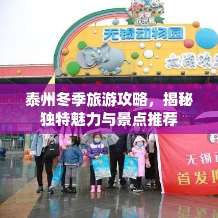 泰州冬季旅游攻略,揭秘独特魅力与景点推荐