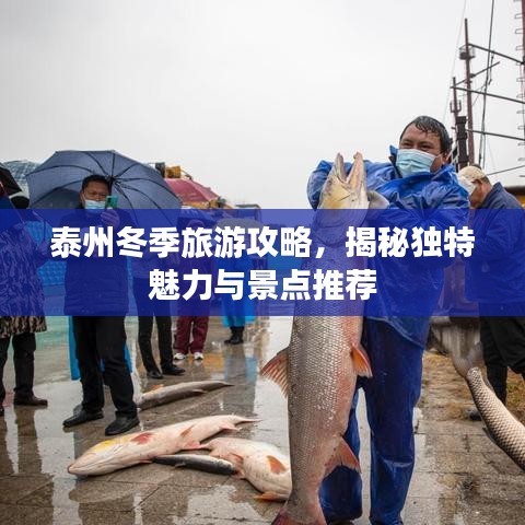 泰州冬季旅游攻略,揭秘独特魅力与景点推荐