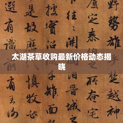 太湖茶草收购最新价格动态揭晓