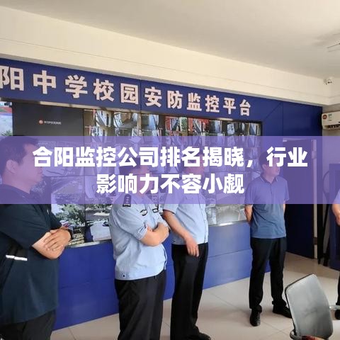 合阳监控公司排名揭晓,行业影响力不容小觑