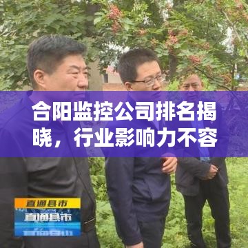 合阳监控公司排名揭晓,行业影响力不容小觑