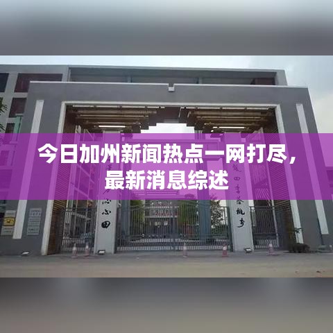 今日加州新闻热点一网打尽，最新消息综述