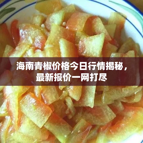 海南青椒价格今日行情揭秘，最新报价一网打尽