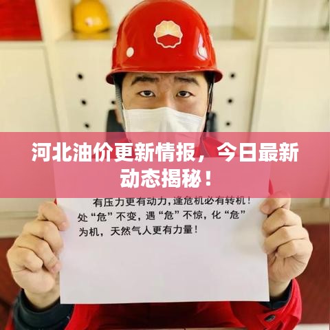 河北油价更新情报，今日最新动态揭秘！