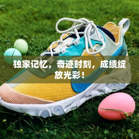 独家记忆,奇迹时刻,成绩绽放光彩!