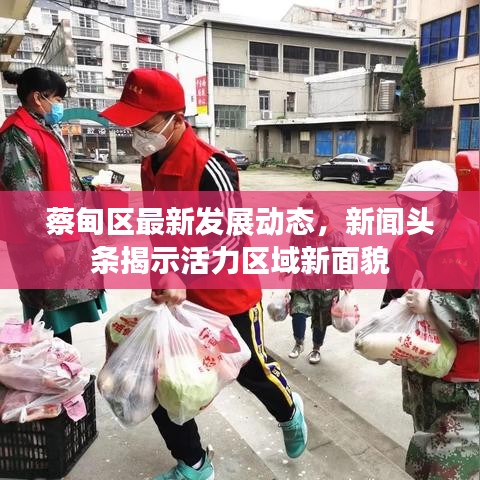 蔡甸区最新发展动态,新闻头条揭示活力区域新面貌
