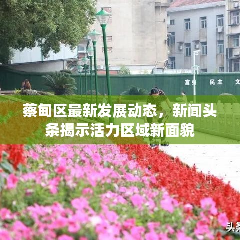 蔡甸区最新发展动态,新闻头条揭示活力区域新面貌