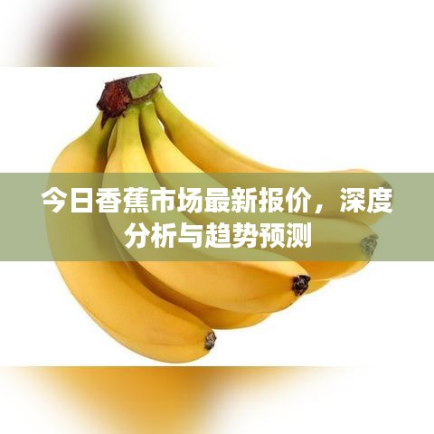 今日香蕉市场最新报价，深度分析与趋势预测