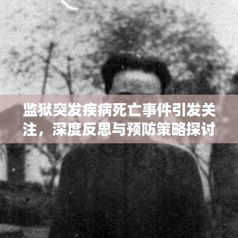 监狱突发疾病死亡事件引发关注，深度反思与预防策略探讨