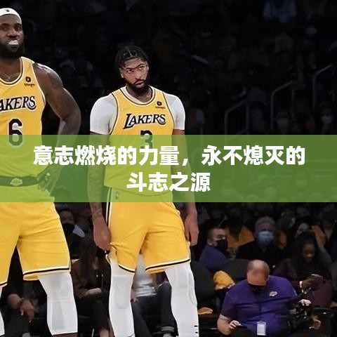 意志燃烧的力量,永不熄灭的斗志之源