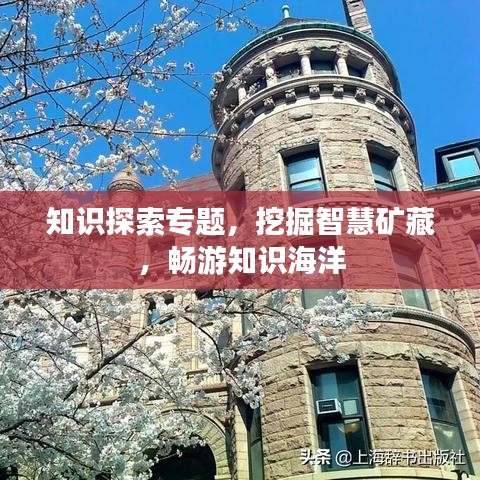 知识探索专题,挖掘智慧矿藏,畅游知识海洋