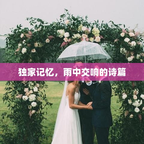 独家记忆，雨中交响的诗篇