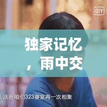 独家记忆,雨中交响的诗篇