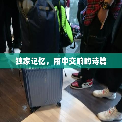 独家记忆,雨中交响的诗篇