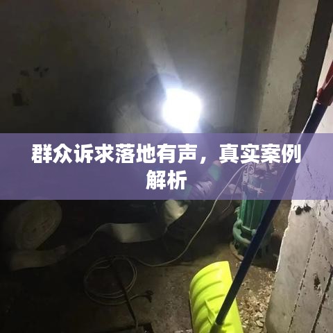 群众诉求落地有声，真实案例解析