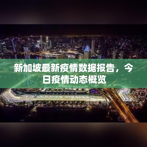新加坡最新疫情数据报告，今日疫情动态概览