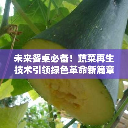 未来餐桌必备！蔬菜再生技术引领绿色革命新篇章