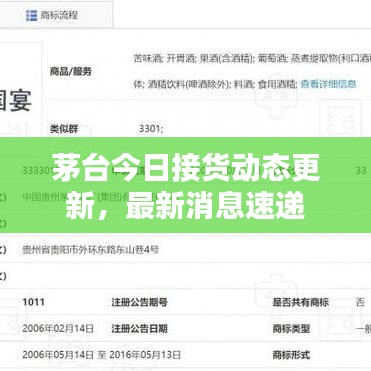 茅台今日接货动态更新,最新消息速递