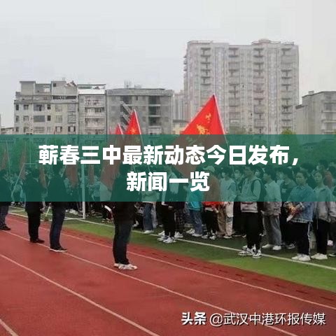 蕲春三中最新动态今日发布，新闻一览