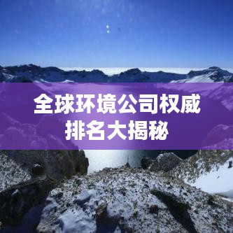 全球环境公司权威排名大揭秘