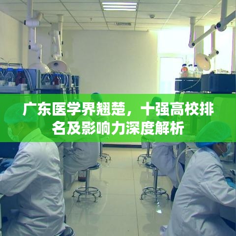 广东医学界翘楚,十强高校排名及影响力深度解析
