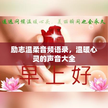 励志温柔音频语录,温暖心灵的声音大全