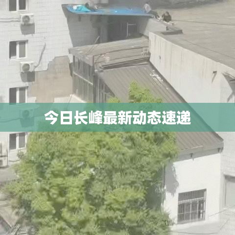 今日长峰最新动态速递