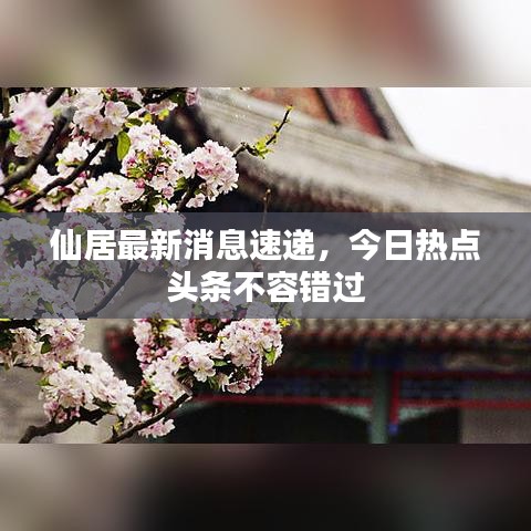 仙居最新消息速递,今日热点头条不容错过