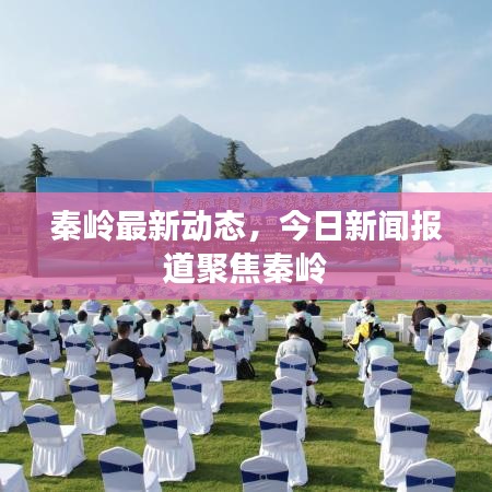 秦岭最新动态,今日新闻报道聚焦秦岭