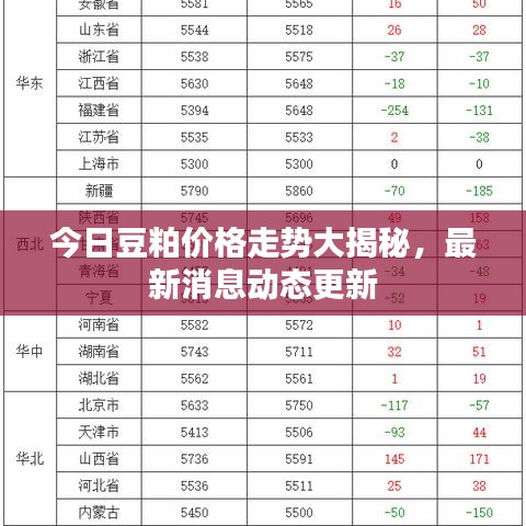 今日豆粕价格走势大揭秘，最新消息动态更新