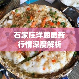 石家庄洋葱最新行情深度解析