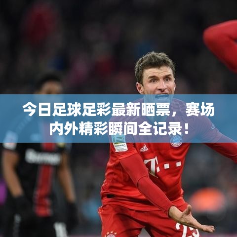今日足球足彩最新晒票，赛场内外精彩瞬间全记录！