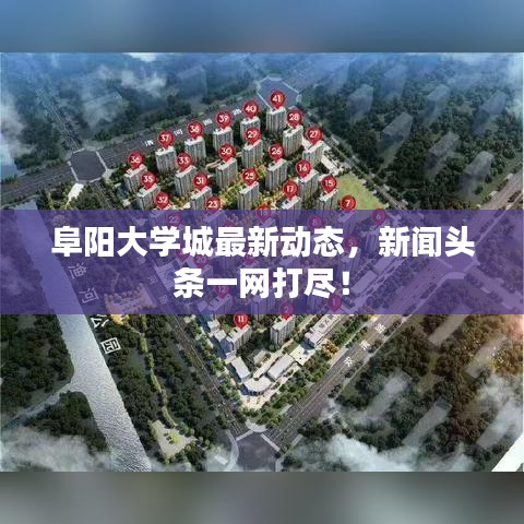 阜阳大学城最新动态，新闻头条一网打尽！