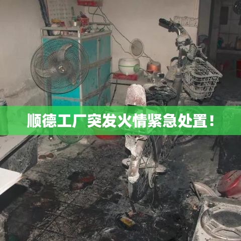 顺德工厂突发火情紧急处置!