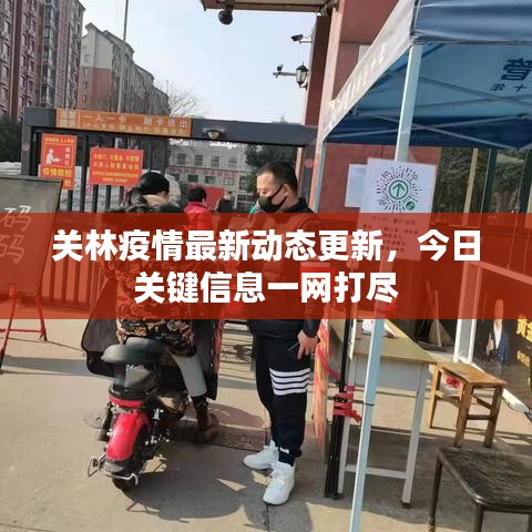 关林疫情最新动态更新，今日关键信息一网打尽