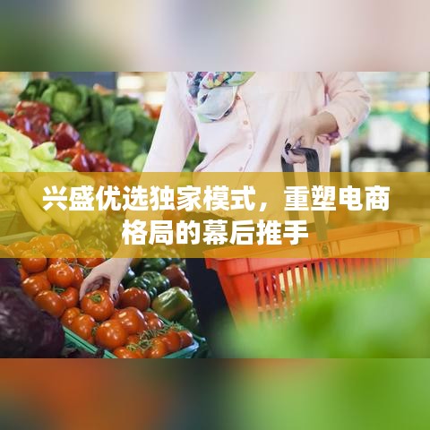 兴盛优选独家模式,重塑电商格局的幕后推手