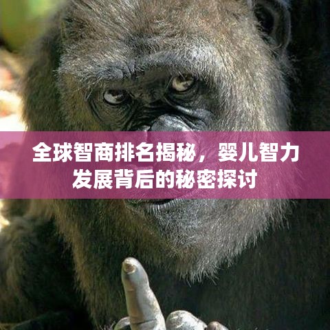 全球智商排名揭秘,婴儿智力发展背后的秘密探讨