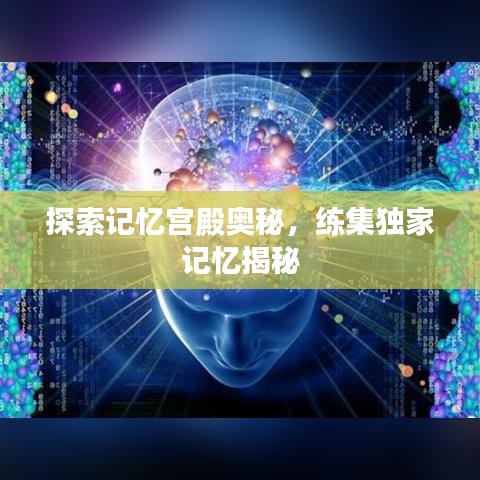 探索记忆宫殿奥秘,练集独家记忆揭秘