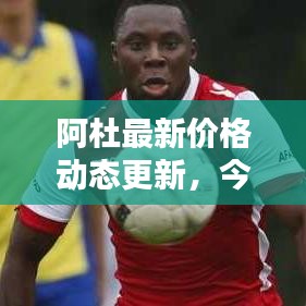 阿杜最新价格动态更新，今日行情一览