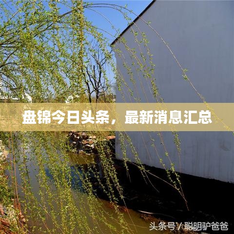 盘锦今日头条，最新消息汇总