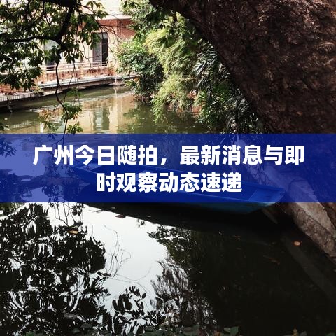 广州今日随拍，最新消息与即时观察动态速递